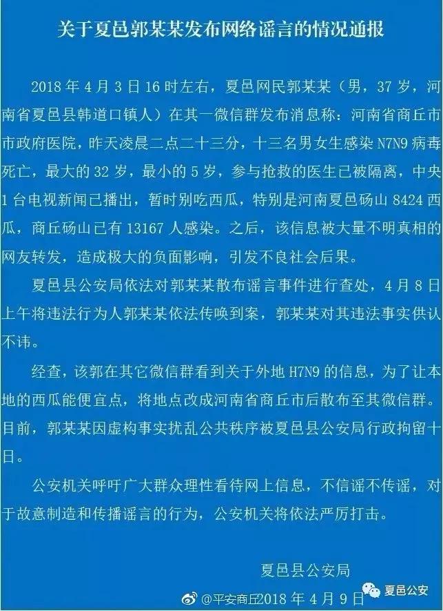 夏邑案最新深度解析