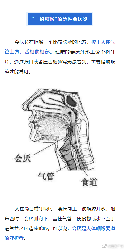 时代变迁下的新口感与感受，最新入喉体验探索